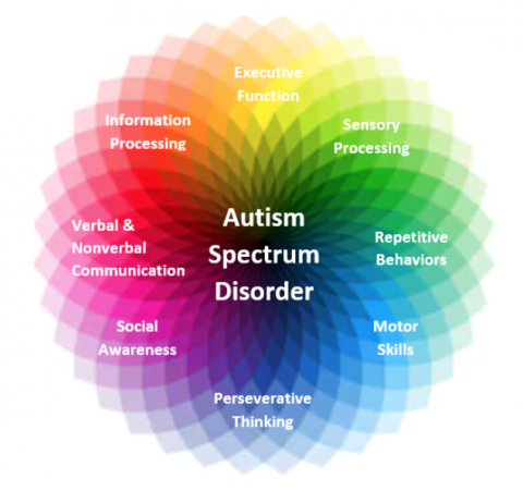 Autism Spectrum Disorder visual reference